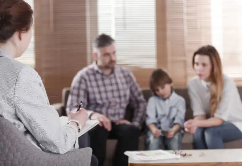 Child Custody and Relocation in International Family Disputes Shildon